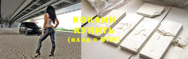прущие грибы Михайловка