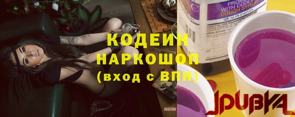 хмурый Михайловск