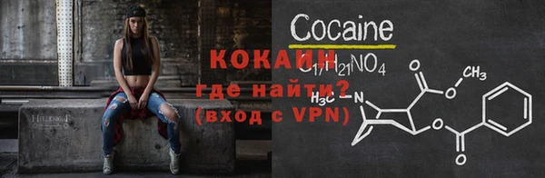 прущие грибы Михайловка
