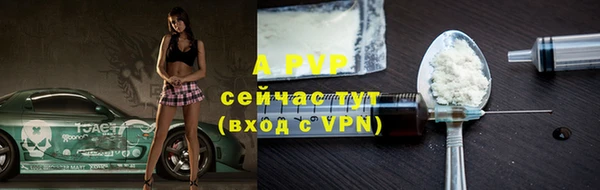 стафф Михайлов