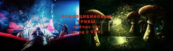 хмурый Михайловск