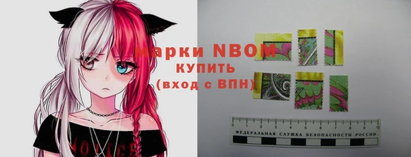 прущие грибы Михайловка
