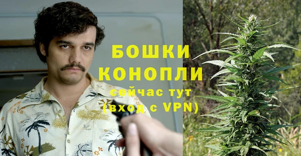 стафф Михайлов