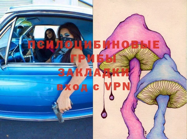 стафф Михайлов