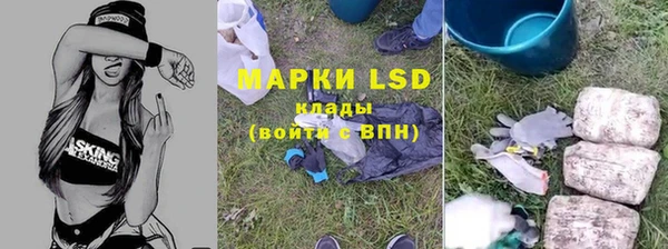 хмурый Михайловск