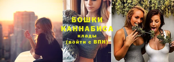 хмурый Михайловск