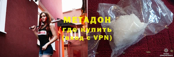 прущие грибы Михайловка
